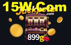 Premium Interface 899g